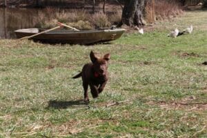 IMG_0034 (Small)