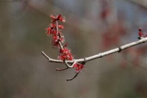 IMG_0228 (Small)