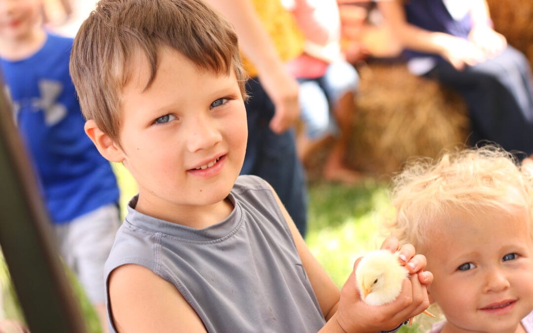 Pictures 7th Annual Field Day