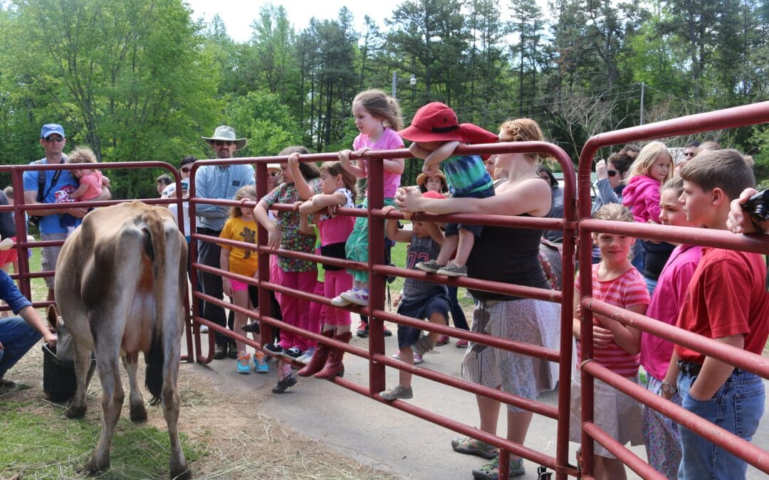 6th Annual Field Day and Celebrating 10 Years of Farming!