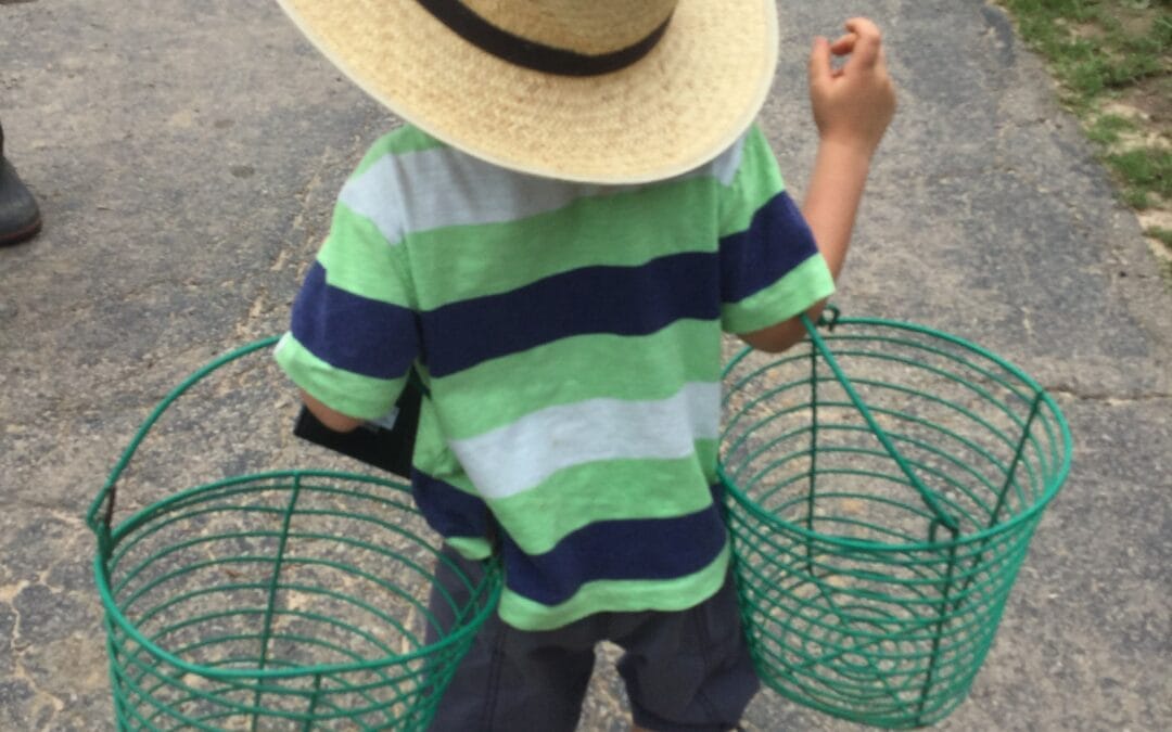 Farm Girl Note: June update