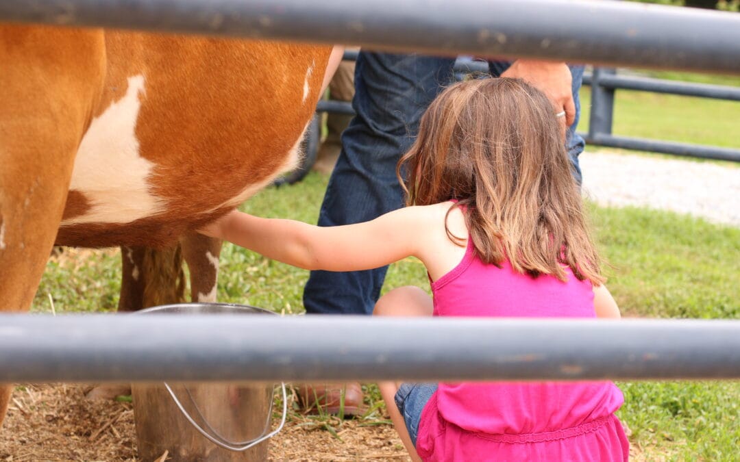 Photos: 6th Annual Open House / Field Day.