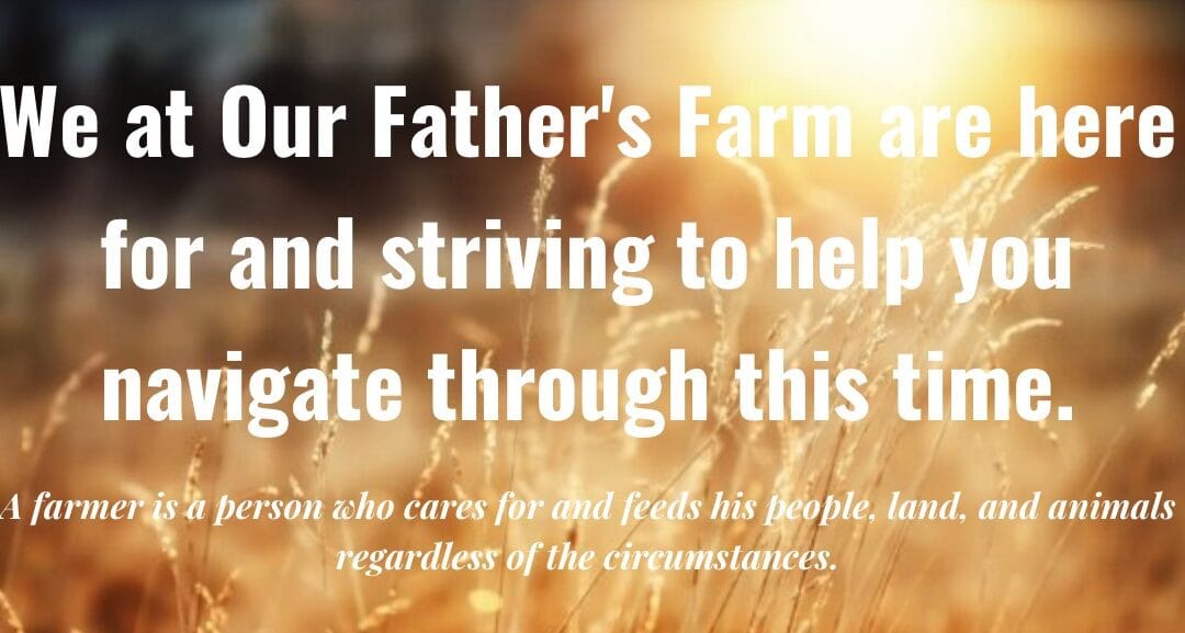 A letter from your Farmers + Sale!
