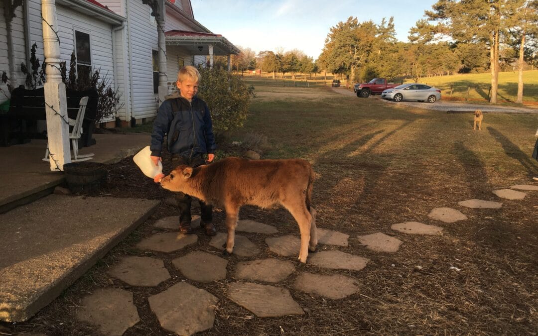 Farmers Update // January