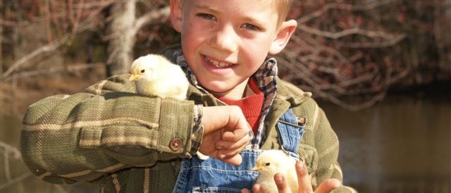 Farm Update May 2012