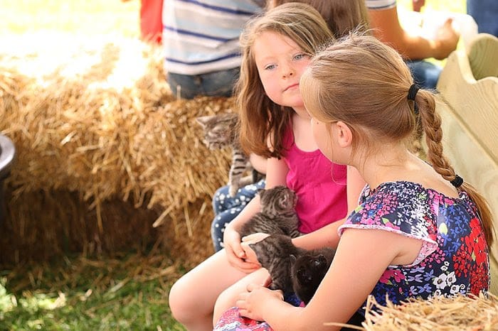 7th Annual Open House / Field Day!