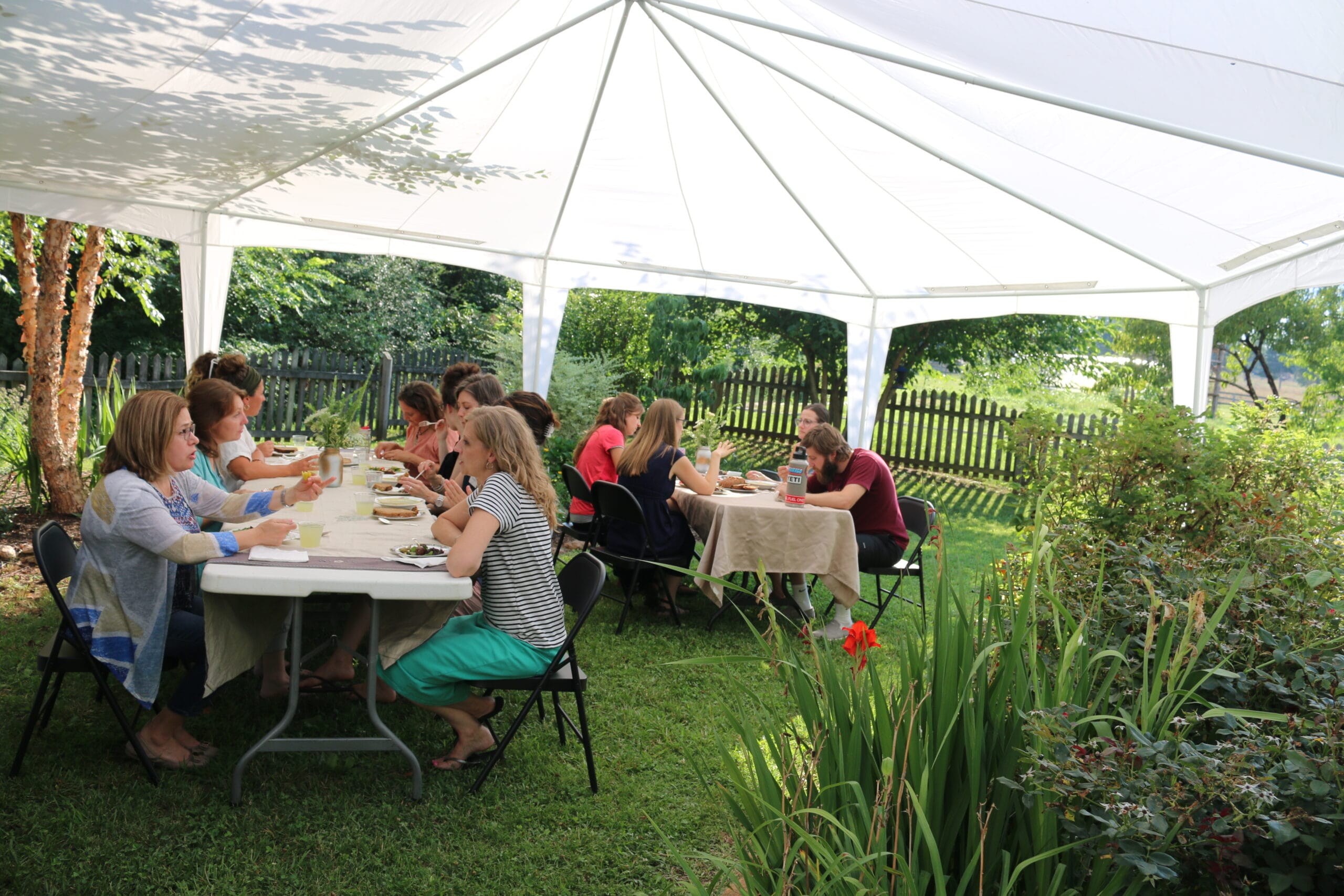 Delicious-Health-Foods-Spread-on-a-Table