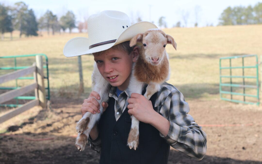 Abandoned Lambs and 10% Off