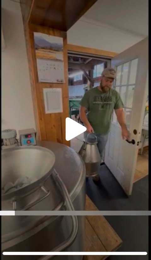Dairy Operation Video